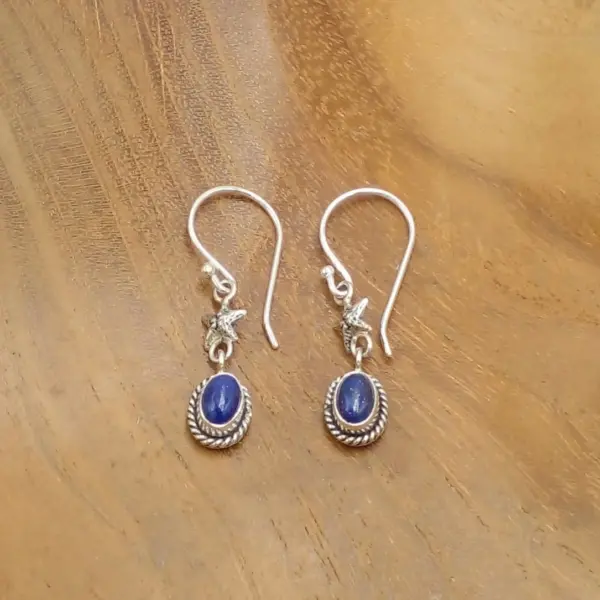 Starfish Earrings With Gems E1800CTRW140
