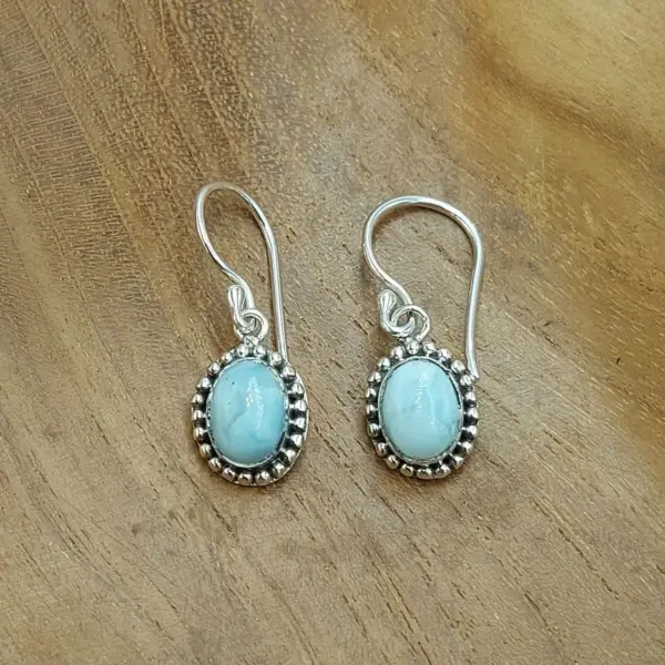 Jawan Earrings With Gems E1820CLNW200