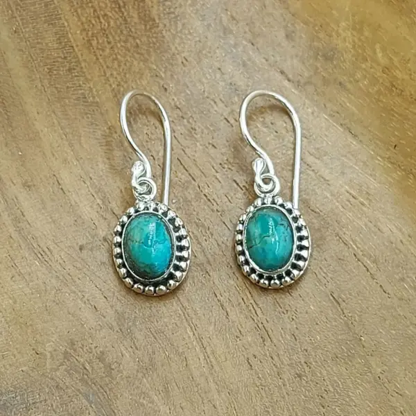 Jawan Earrings With Gems E1820CLNW200